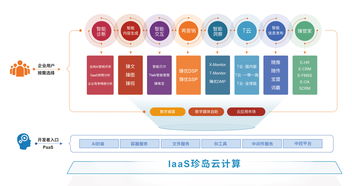 喜報 珍島榮膺2019上海軟件和信息技術服務業百強人工智能基礎軟件開發殊榮